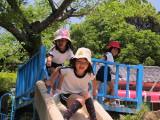 img0079.jpg