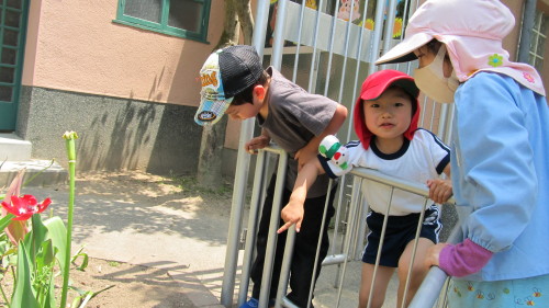 img0000.jpg
