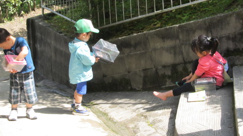 img0038.jpg