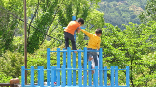 img0049.jpg
