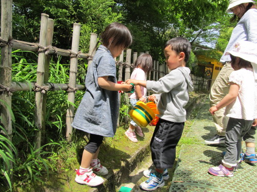 img0075.jpg