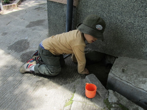 img0080.jpg