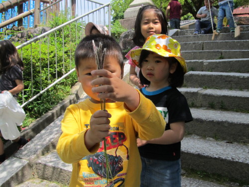 img0084.jpg