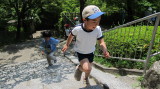 img0010.jpg