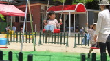 img0011.jpg