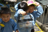 img0025.jpg