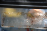 img0026.jpg