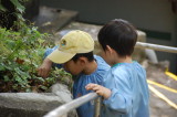 img0027.jpg