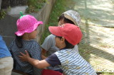 img0032.jpg
