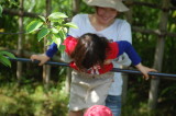 img0034.jpg