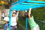 img0037.jpg