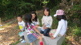 img0042.jpg