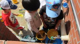 img0048.jpg