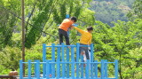 img0049.jpg