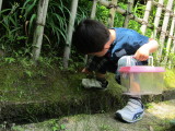 img0056.jpg