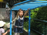 img0061.jpg