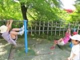 img0062.jpg