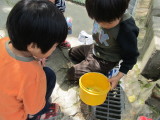 img0065.jpg