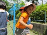 img0066.jpg