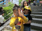 img0084.jpg