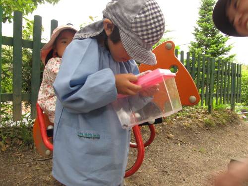 img0003.jpg