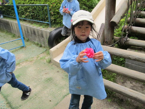 img0011.jpg