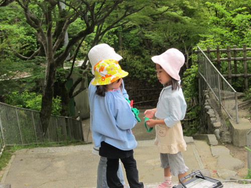 img0038.jpg
