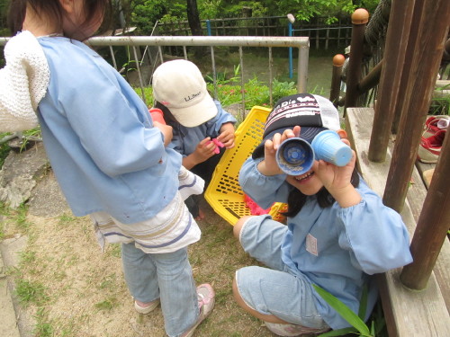 img0053.jpg
