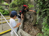 img0001.jpg