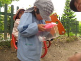 img0003.jpg