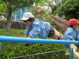 img0008.jpg