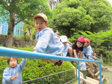 img0009.jpg