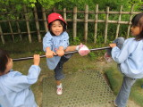 img0013.jpg