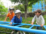 img0026.jpg
