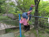 img0027.jpg