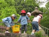 img0029.jpg