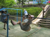 img0030.jpg