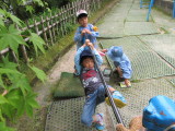 img0031.jpg