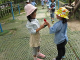 img0032.jpg