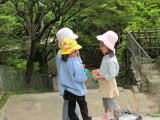 img0038.jpg