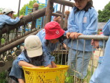 img0039.jpg