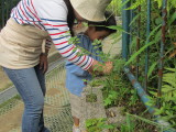 img0040.jpg