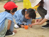 img0045.jpg