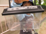 img0060.jpg