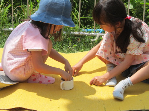 img0005.jpg