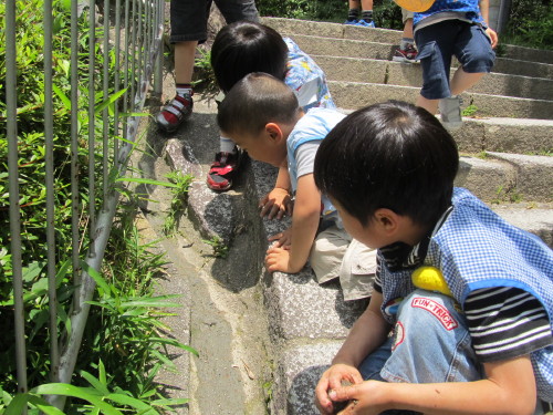 img0033.jpg