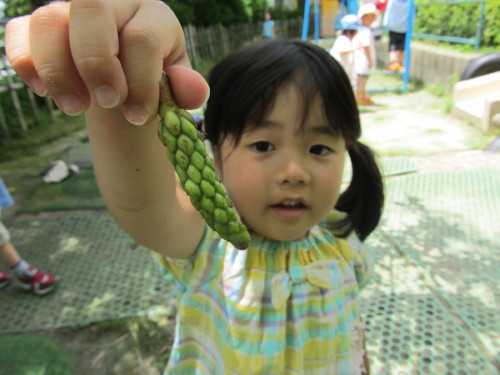 img0043.jpg