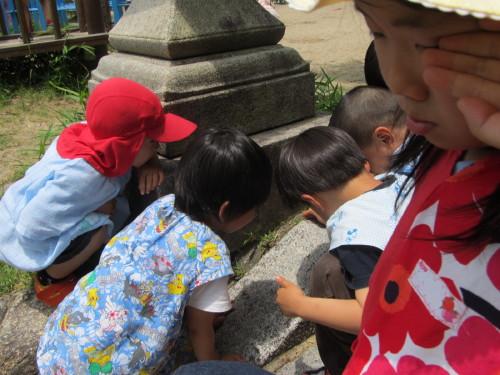img0048.jpg