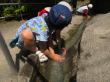 img0000.jpg