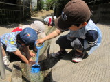 img0002.jpg